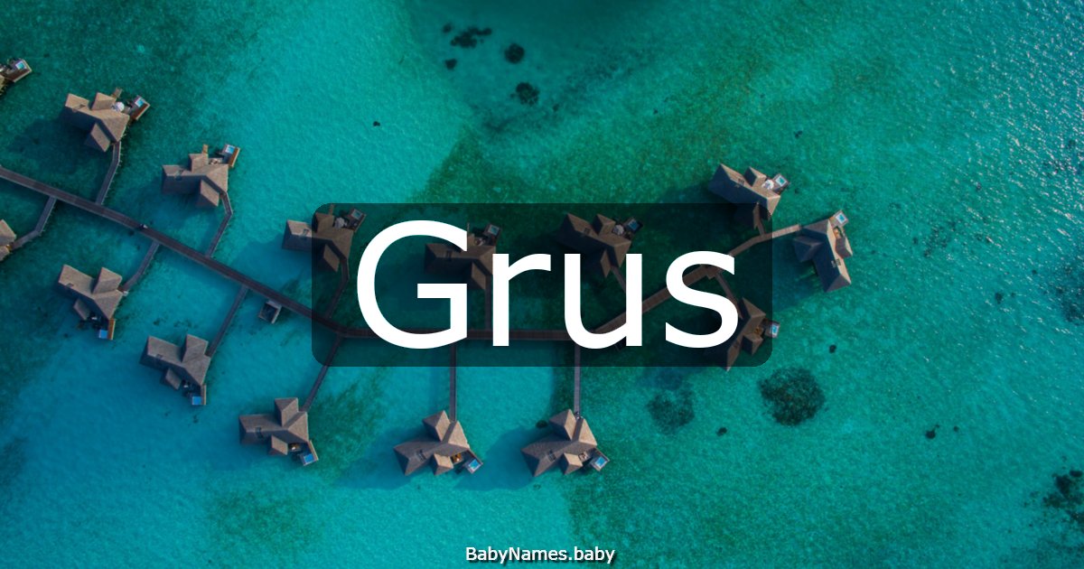 Grus