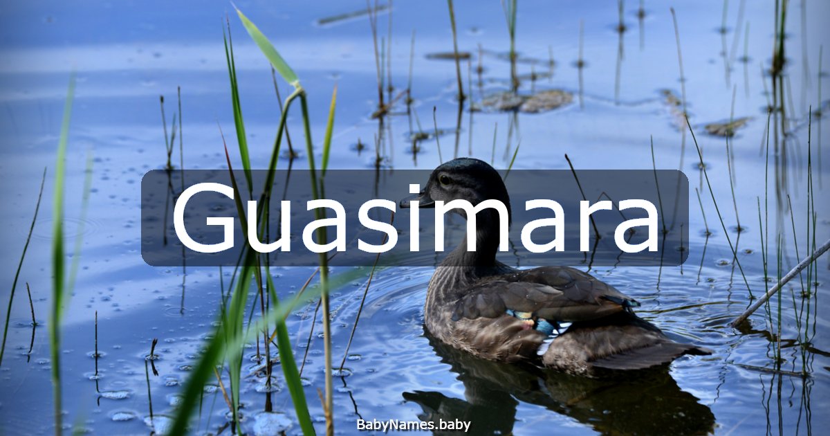 Guasimara