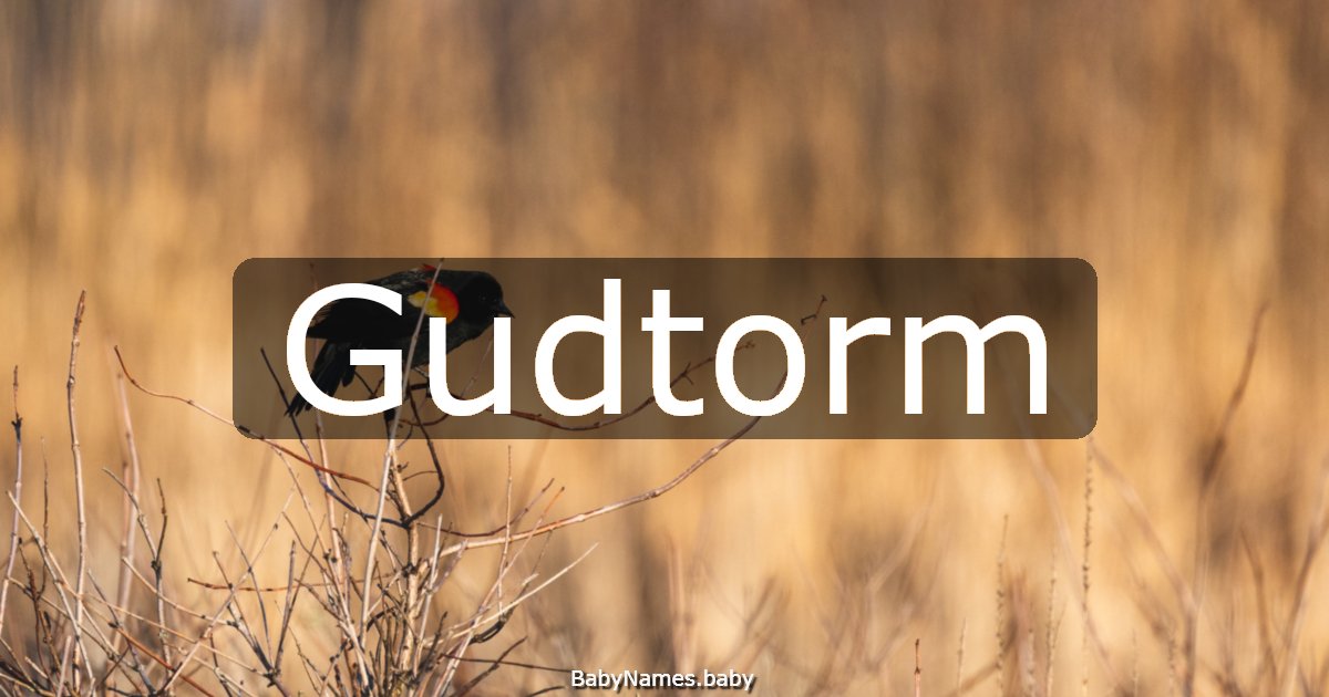Gudtorm