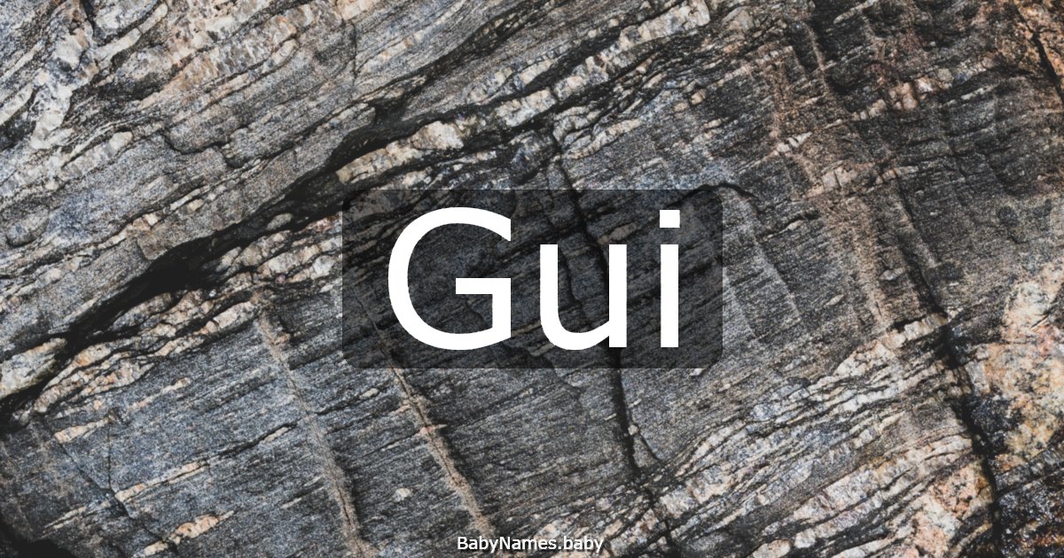 Gui