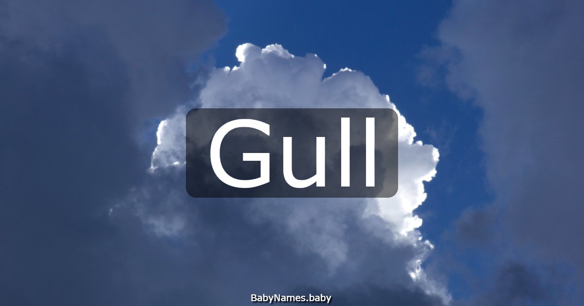 Gull