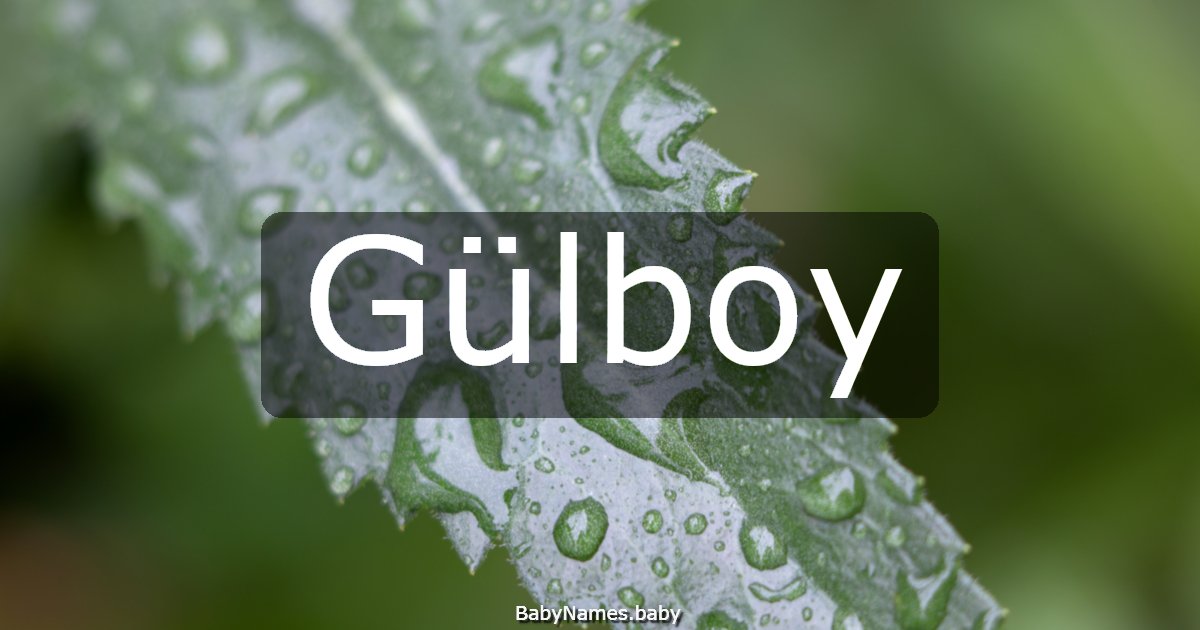 Gülboy