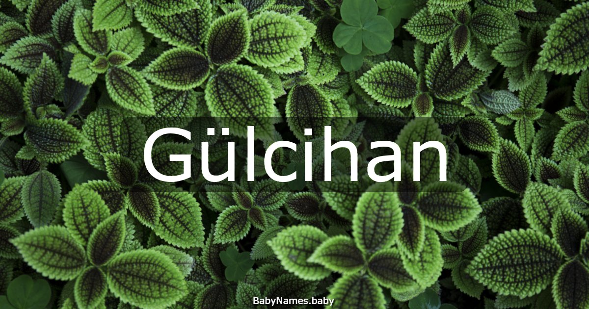 Gülcihan