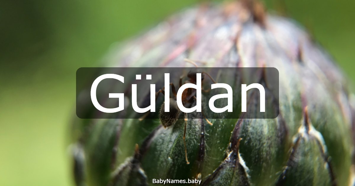 Güldan