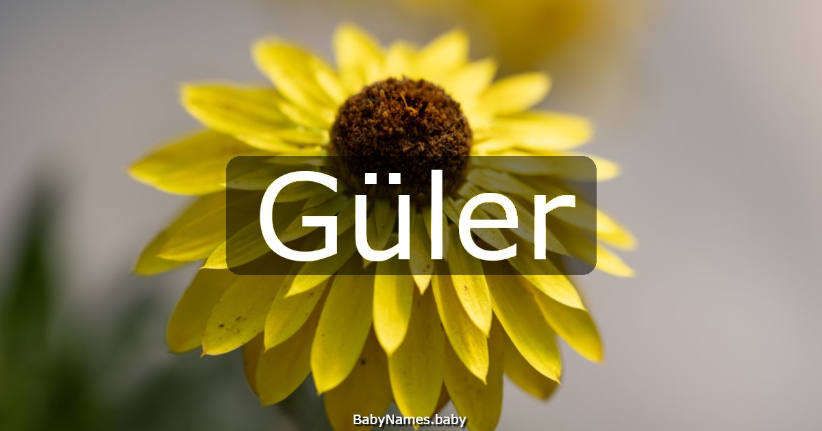 Güler