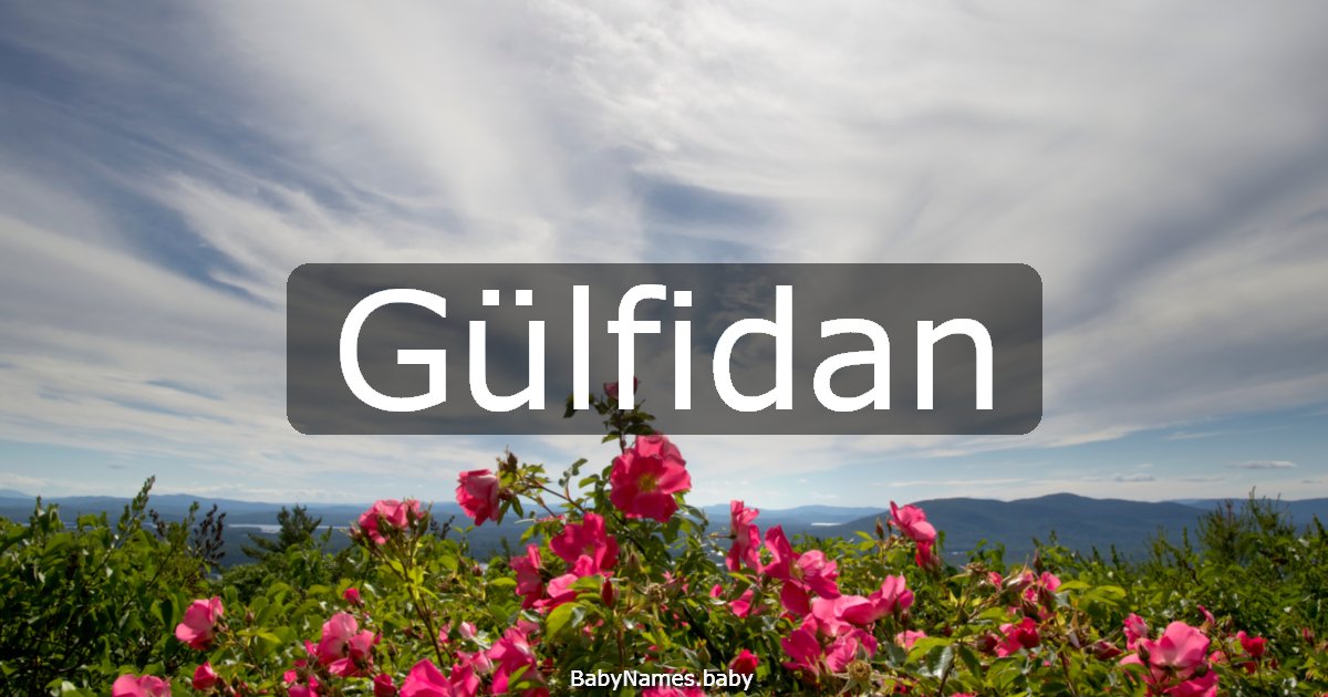 Gülfidan