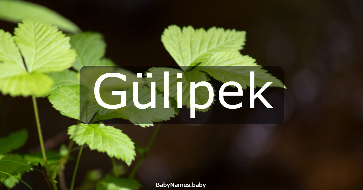 Gülipek