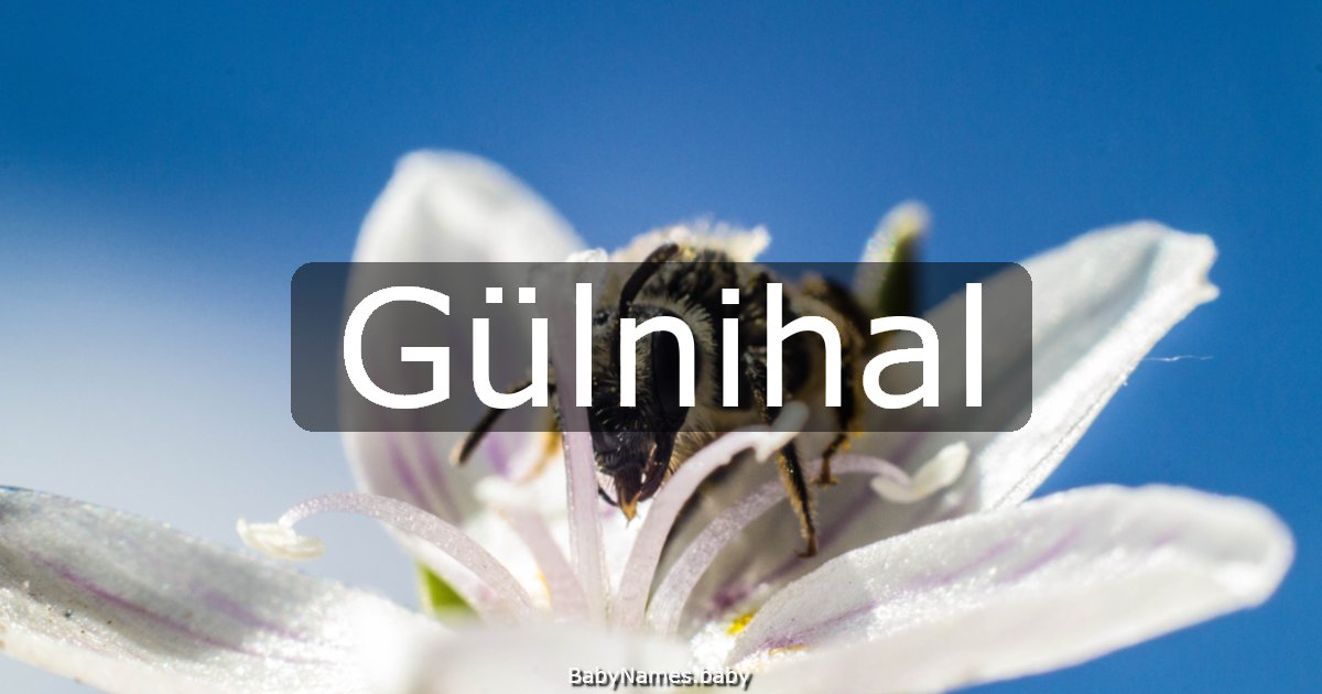 Gülnihal