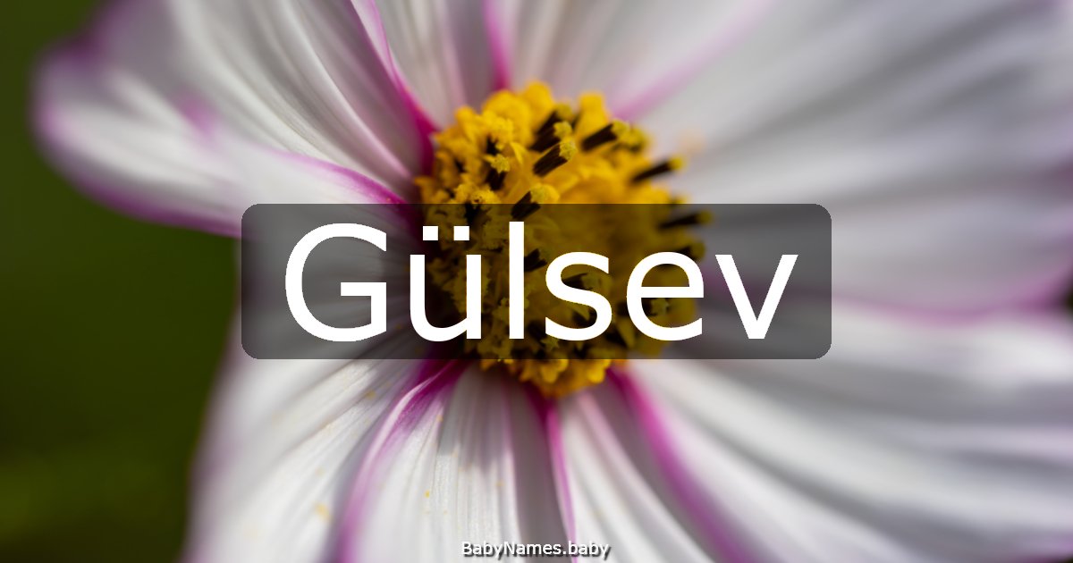 Gülsev
