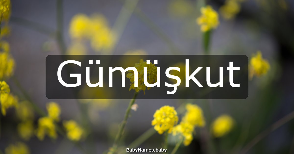 Gümüşkut