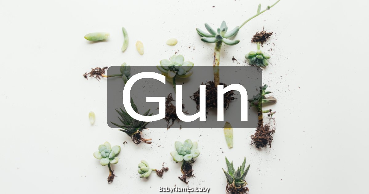 Gun