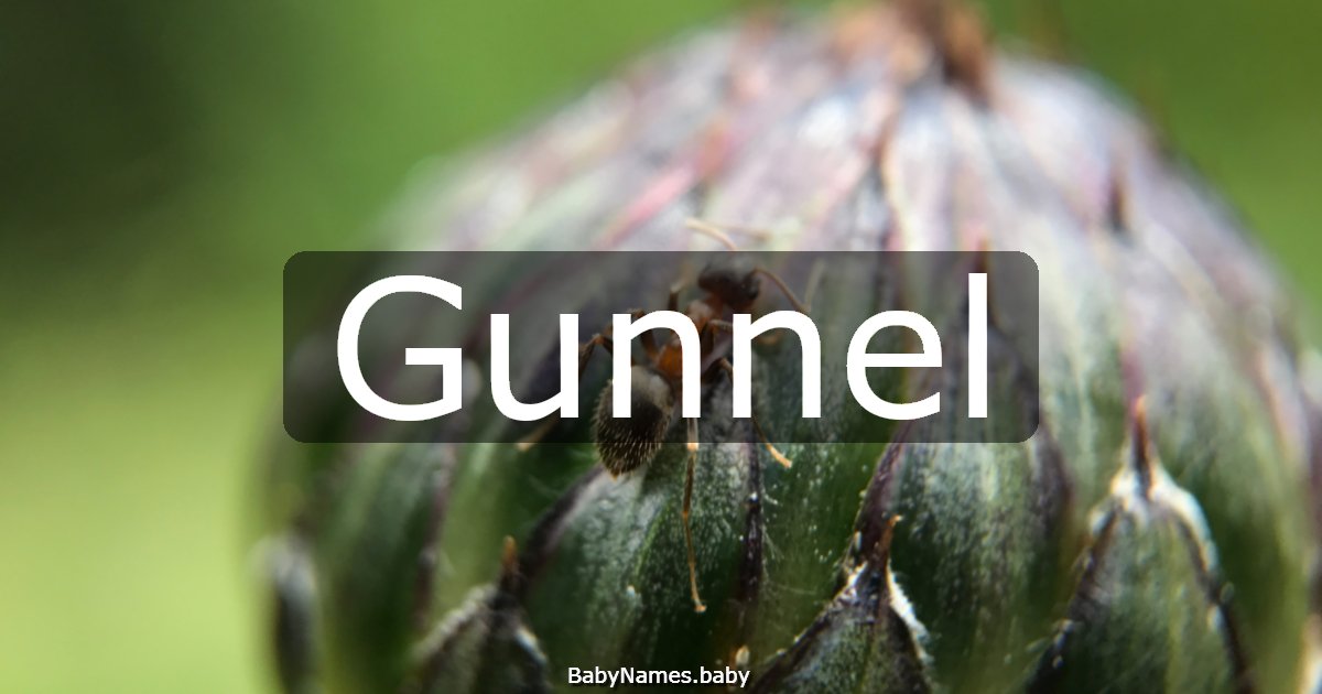 Gunnel