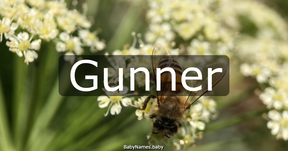 Gunner
