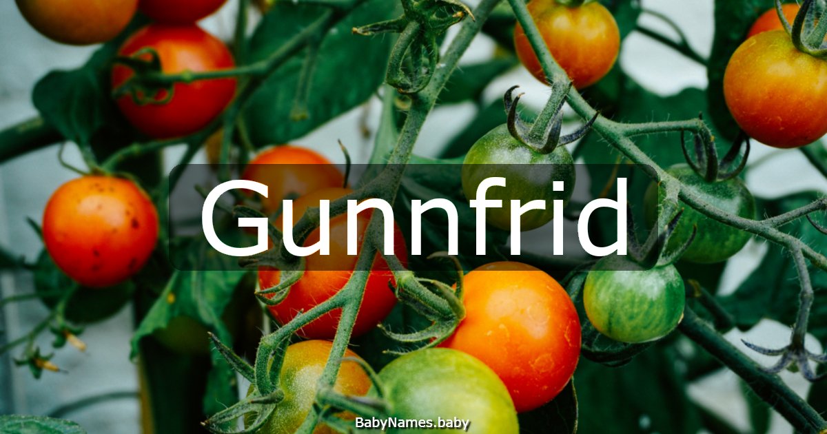 Gunnfrid