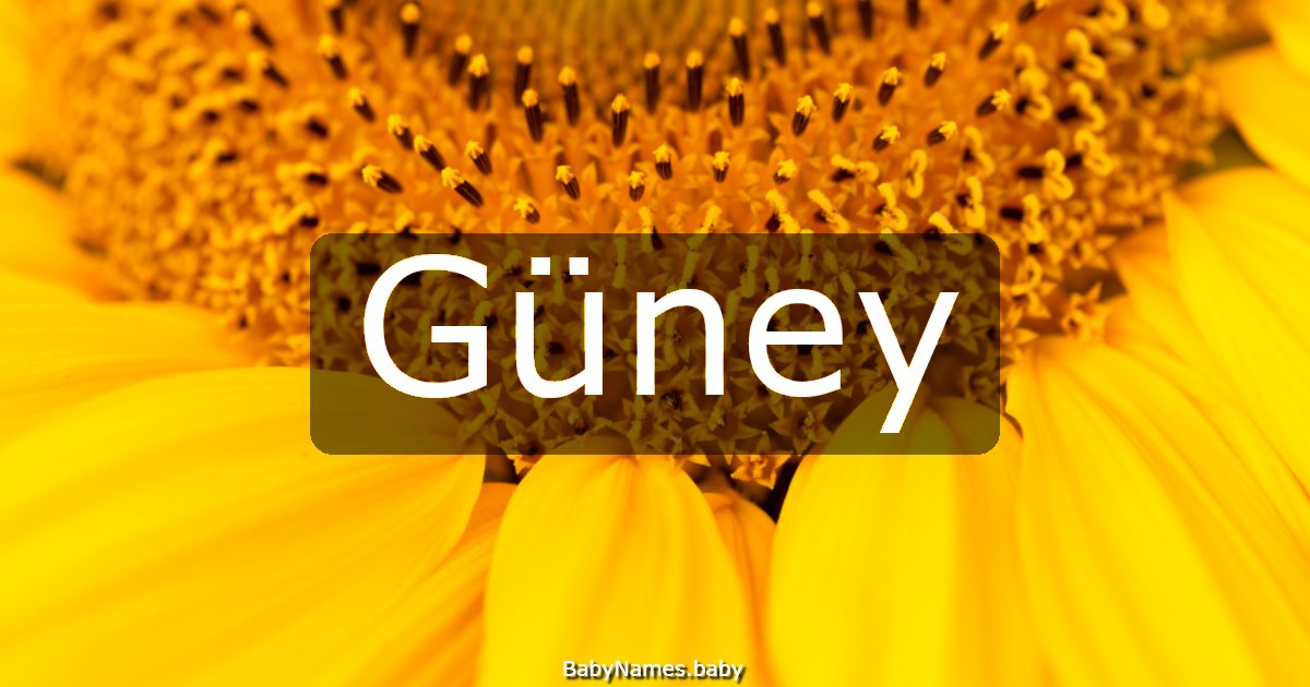 Güney