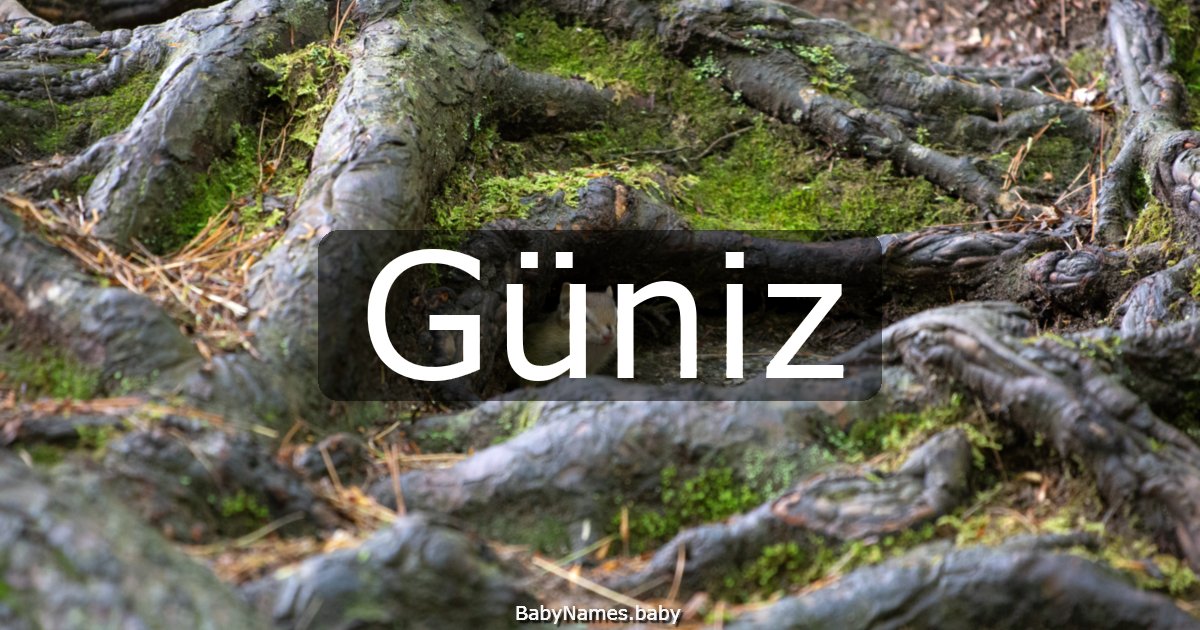 Güniz