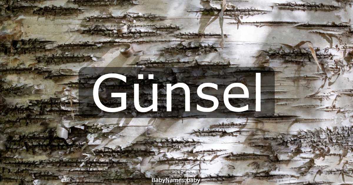 Günsel