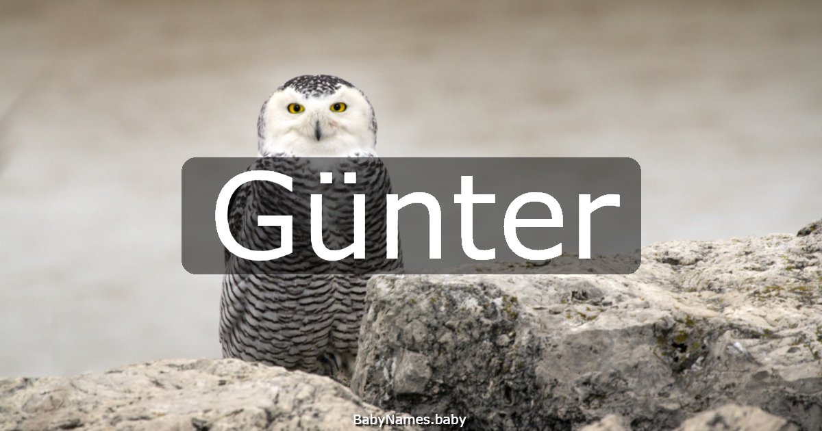 Günter