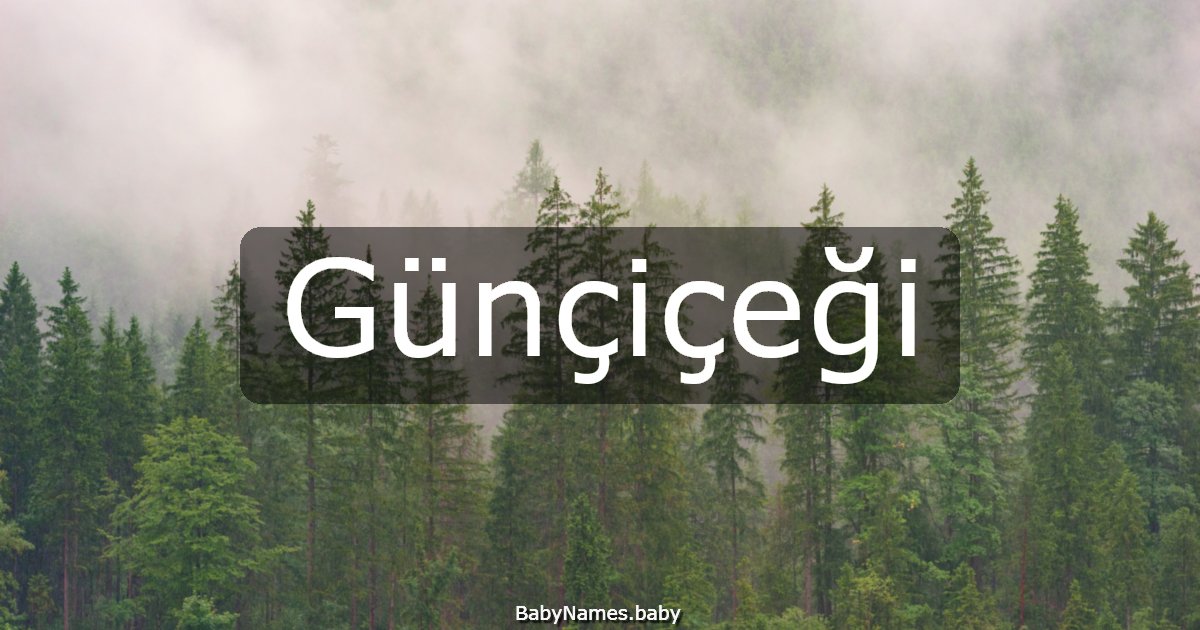 Günçiçeği