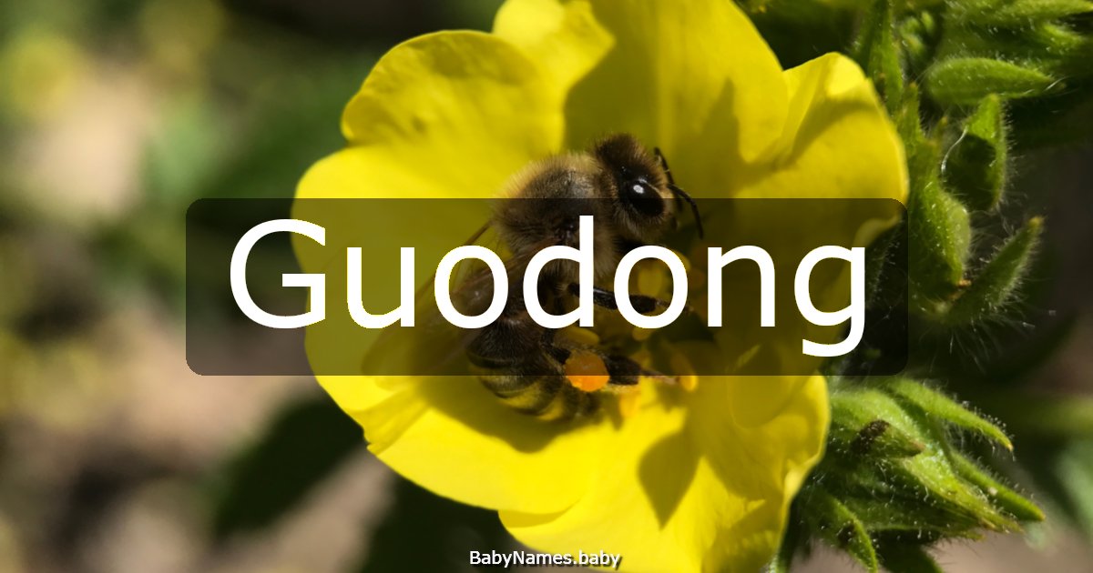 Guodong
