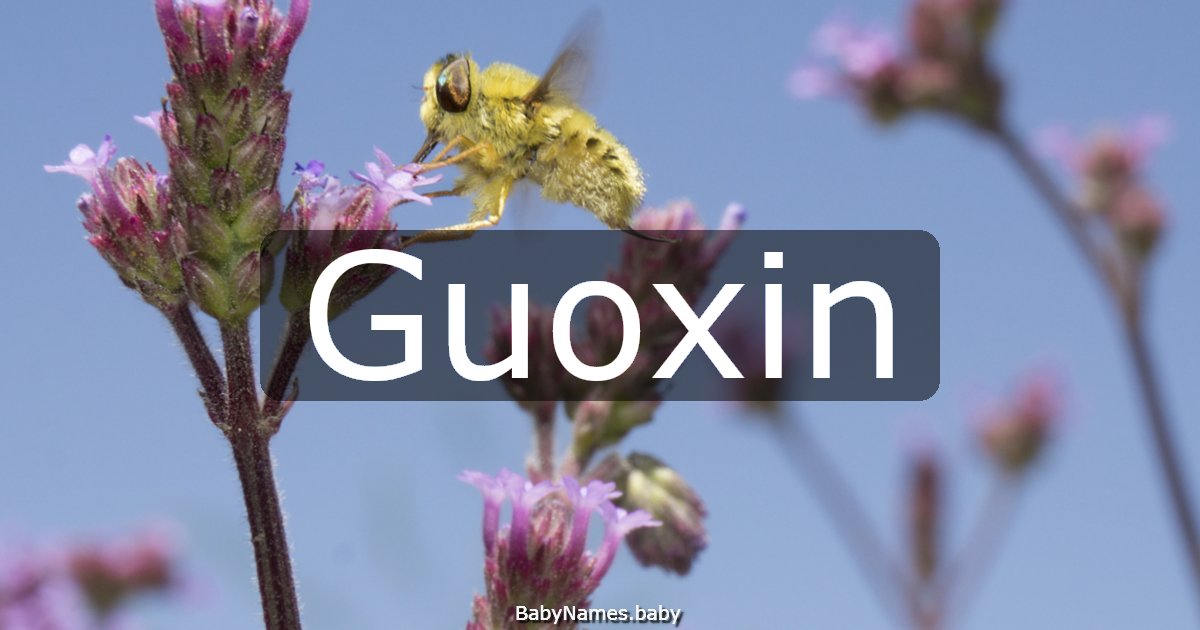 Guoxin