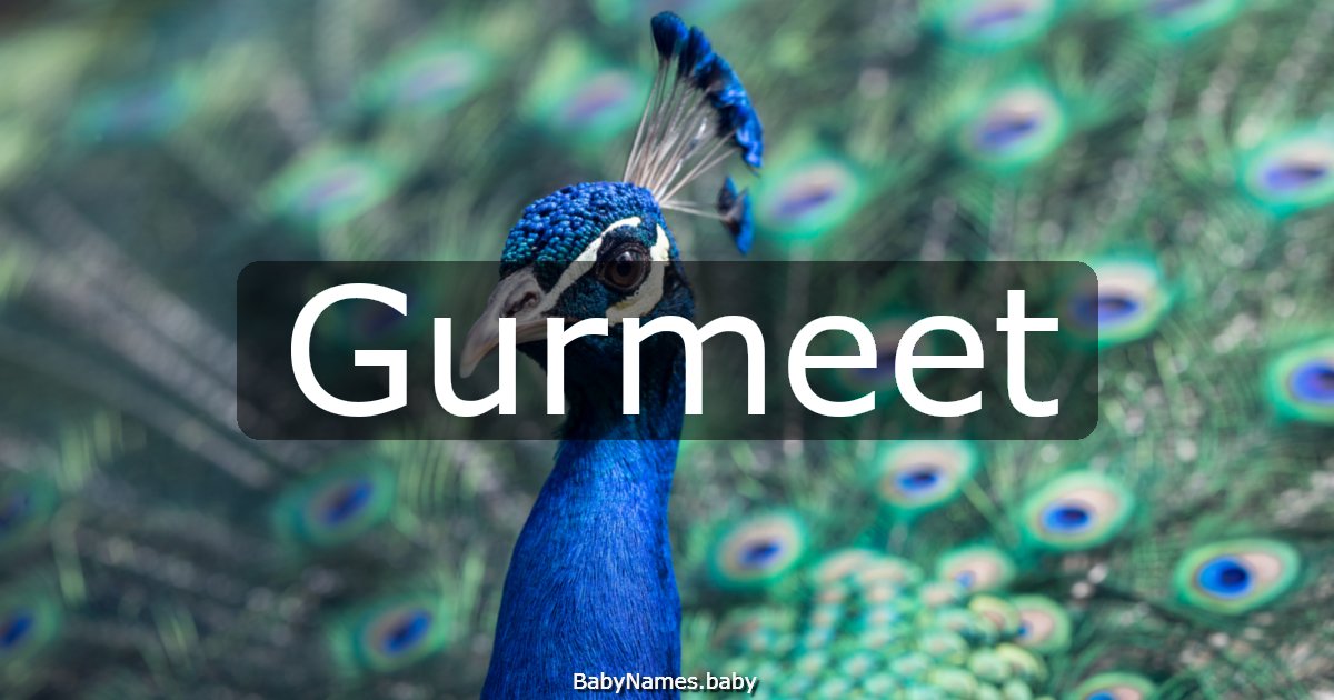 Gurmeet