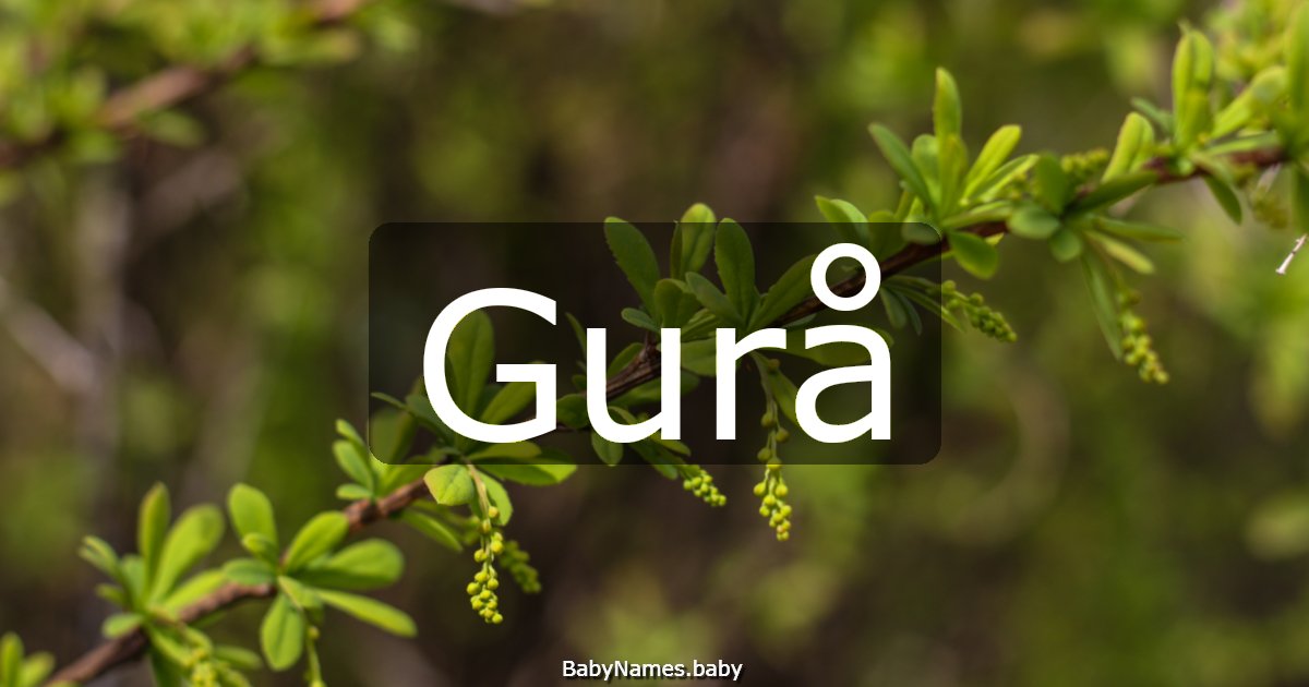 Gurå