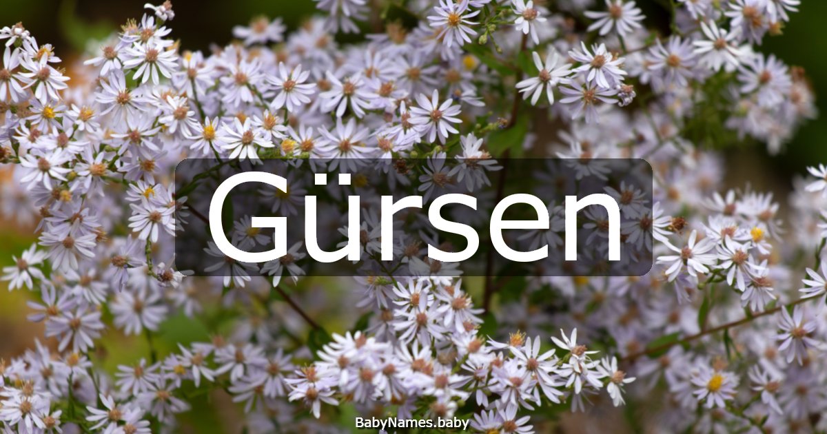 Gürsen
