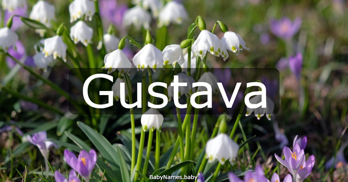 Gustava