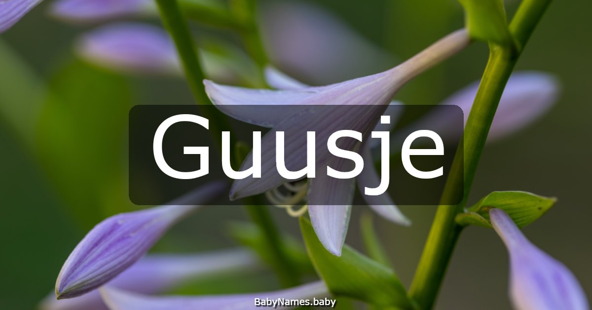Guusje