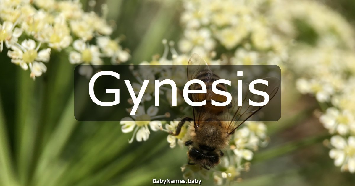 Gynesis
