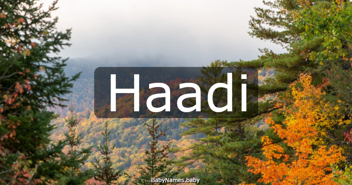 Haadi