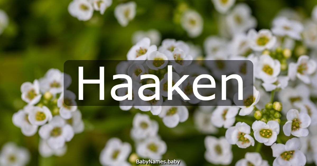 Haaken