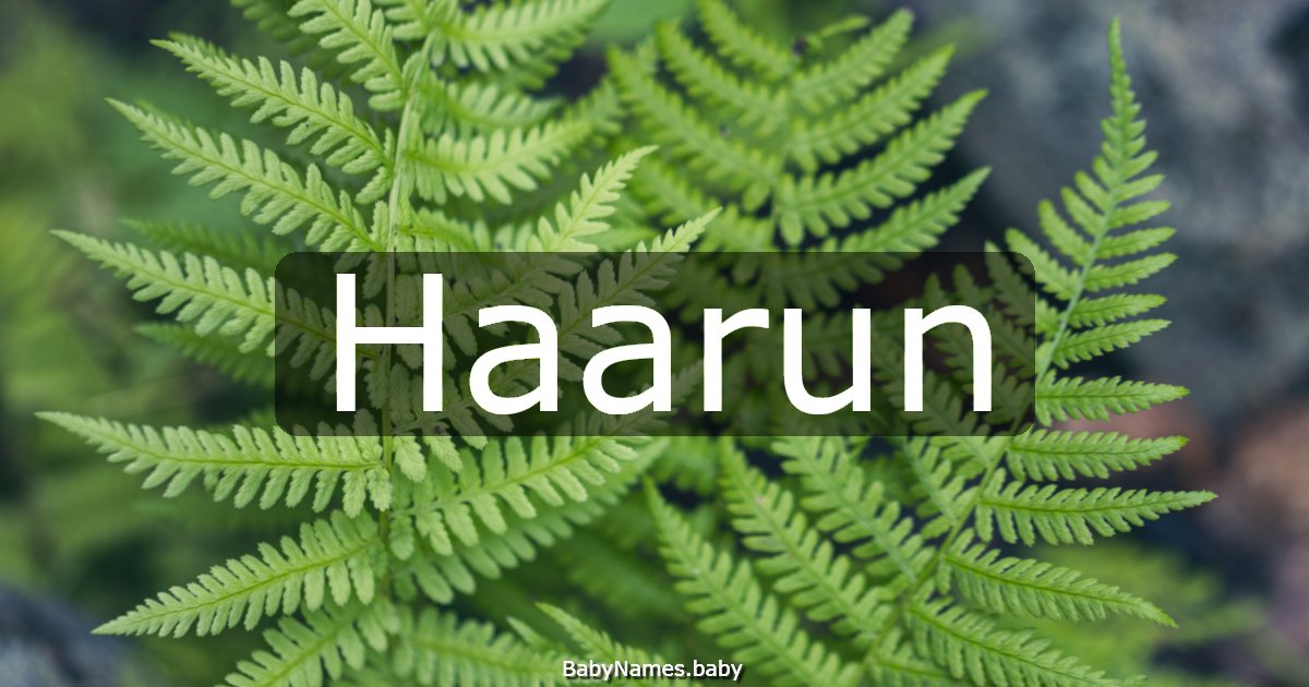 Haarun