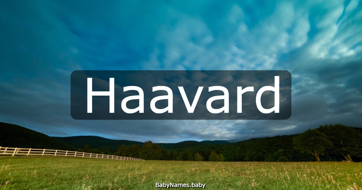 Haavard