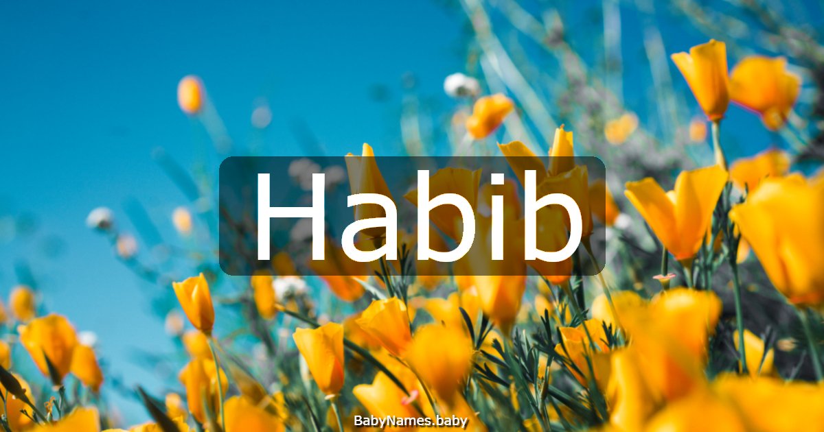 Habib