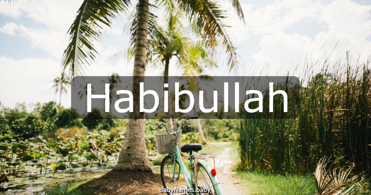 Habibullah
