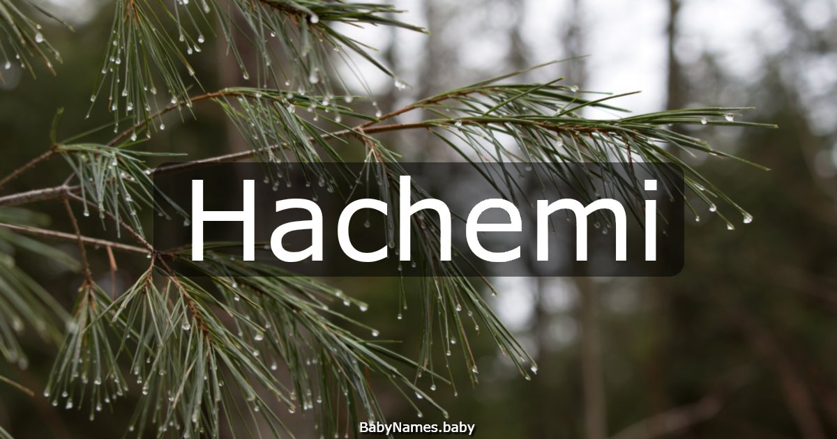 Hachemi