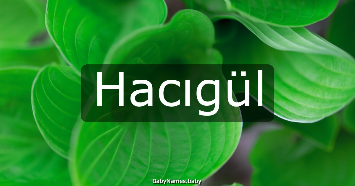 Hacıgül