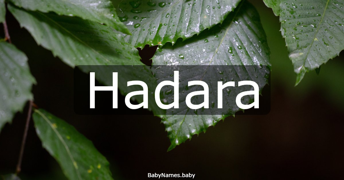 Hadara