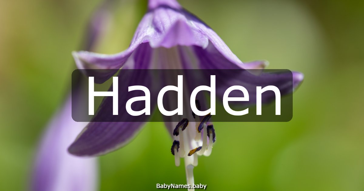 Hadden