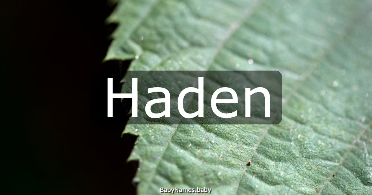 Haden