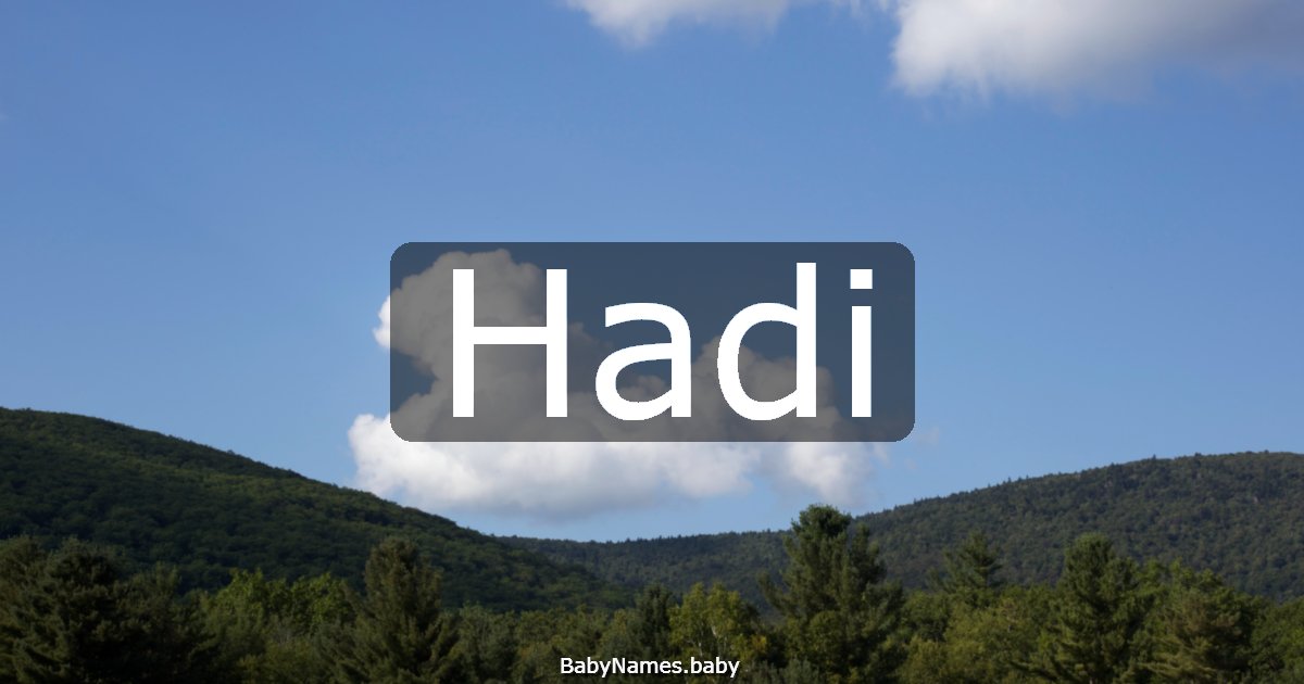 Hadi