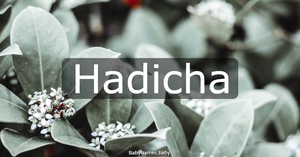 Hadicha