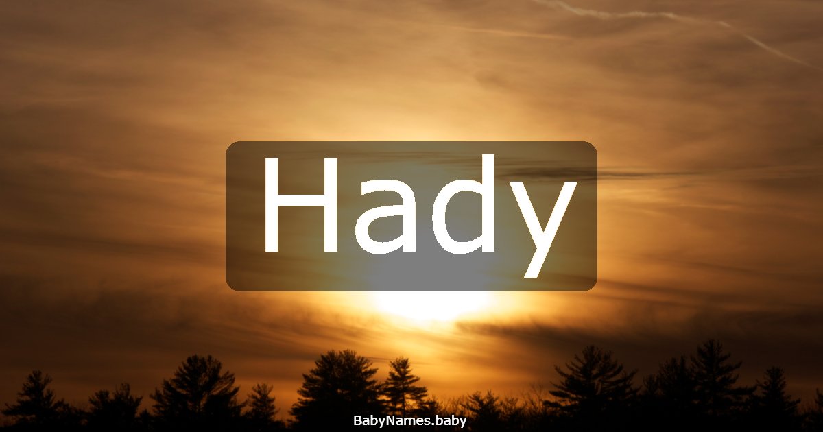 Hady