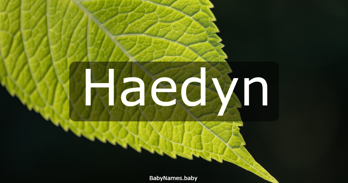 Haedyn