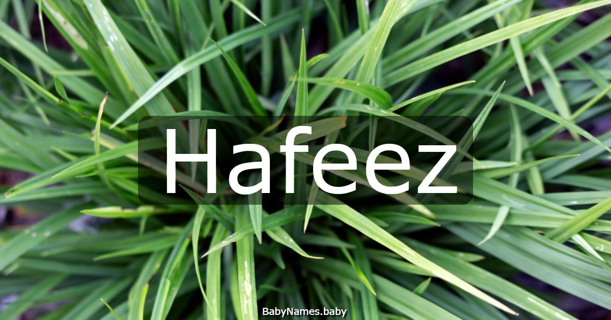 Hafeez