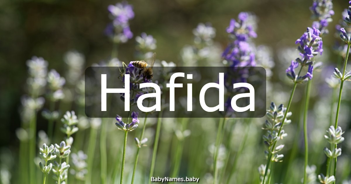 Hafida