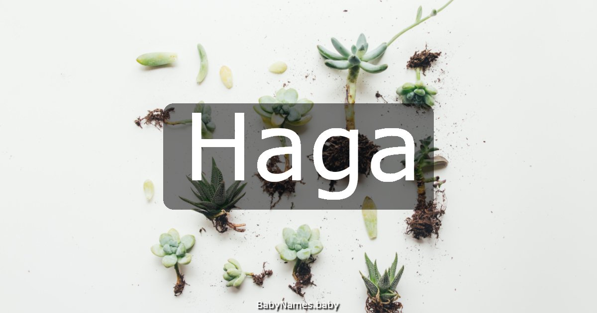 Haga