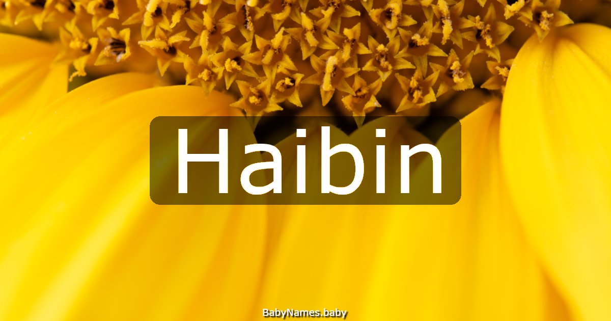 Haibin